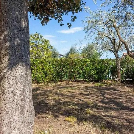 Apartment L22 Villetta Con Giardino